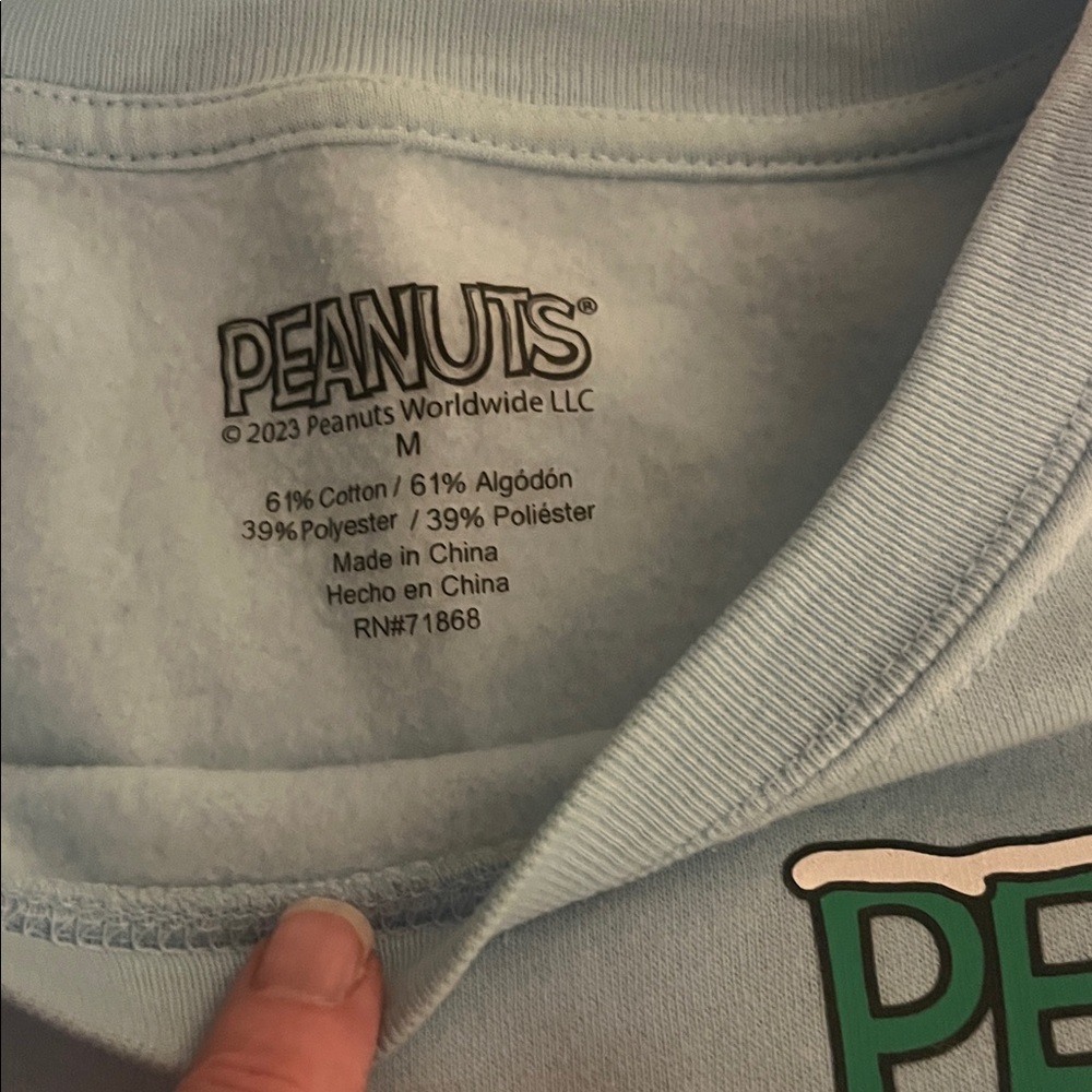 Peanuts Light Blue Graphic Sweatshirt - Picture 2 of 3